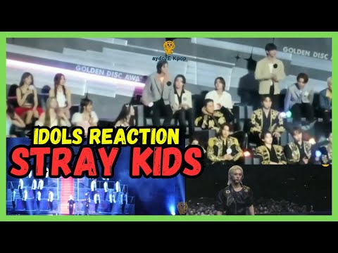 SEVENTEEN REACTION STRAY KIDS Golden Disc Awards JAKARTA 2024  GDA and more IDOLS