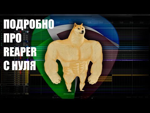 REAPER с нуля для самых отважных