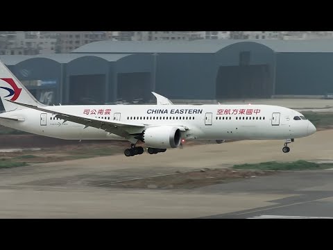 787 Pilot Misses Go Around Call