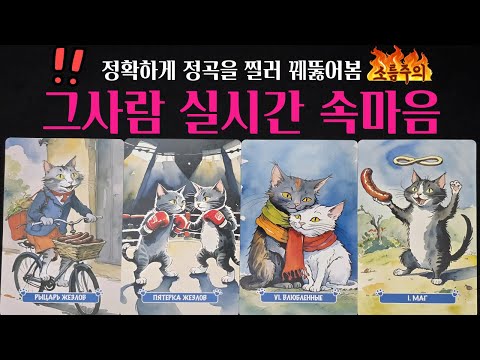 [타로] 🚨소름끼치는 독심술리딩‼️그 사람 지금 나를 어떻게 생각할까? 😲지구끝까지 진짜 속마음 통째로 파헤쳐드려요🔥