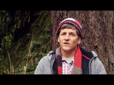 Bird Language - 5 Voices of the Birds.