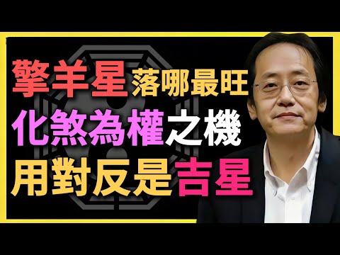 擎羊星落哪最旺？化煞為權之機，逆境翻身！用對反是吉星？#紫微鬥數 #倪海廈 #擎羊星 #命理 #運勢 #八字命理 #命盤分析 #化煞為權 #紫微七殺 #大限流年 #三方四正 #逆境翻身