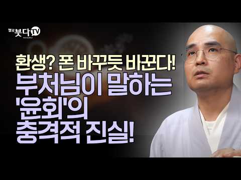 매트릭스는 '고통'이다?! 부처님이 알려주는 '가짜 세상'에서 깨어나는 법! | 자현스님이 알려주는 진짜 불교 이야기 | 불교란 무엇인가 통합본 8회