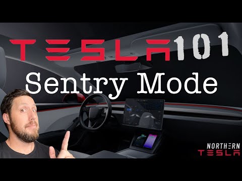 Tesla 101 | Everything You Need To Know About Sentry Mode