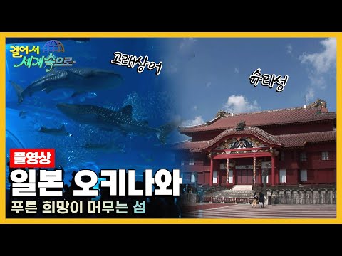 [옛날 걸어서세계속으로Full📺] '일본 오키나와' Trip to Okinawa (KBS_20081011)