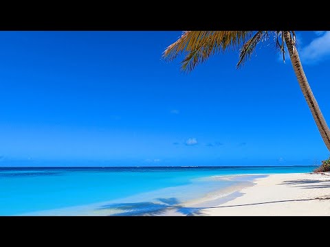 Peaceful Sounds: Beach Sounds From The Most Relaxing Place on Earth