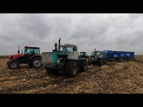 Нереальна тяга💪 Як ми витягували фуру чотирма тракторами🙆Ось такі діла в СГ