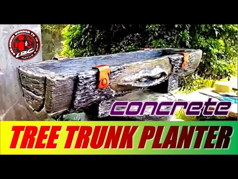DIY TREE TRUNK CONCRETE PLANTER | SHORTEN VIDEO | Бетонное кашпо из ствола дерева своими руками