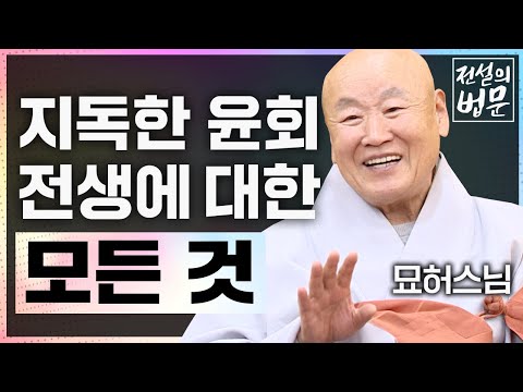 지독한 윤회, 수많이 거쳐왔을 전생에 대한 모든 것! [💡전설의 법문]│'묘허스님'편🙏