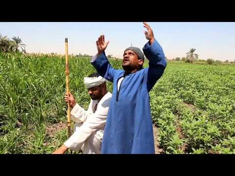 سعيد دخل جمعيه مع سمير وهياخدها الاسم الثانى ضحك مش خلصاااان