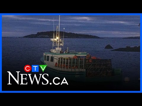 U.S.-China trade talks could impact Canada's lobster industry | CTV National News, Sunday, June 22