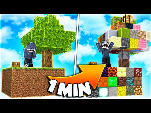 Minecraft Skyblock, aber JEDE MINUTE = RANDOM STARTINSEL...