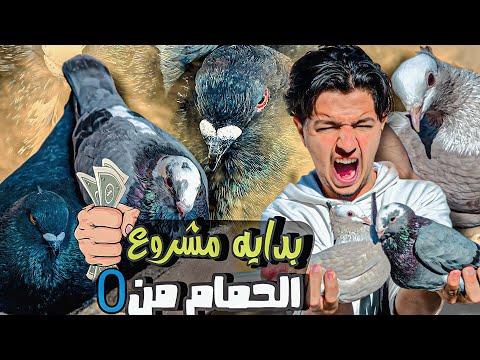 اجي تشوفوا كيفاش غادي نبدا مشروع ديال الحمام من صفر 🤩 وطلقت ذكورة يساريو باش يجيبوا شي حمامه جديدة 😂