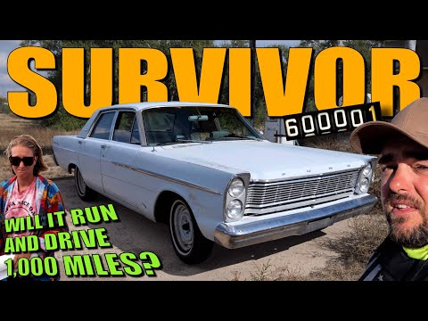 Will This SURVIVOR '65 Ford Run And Drive 1000 Miles?