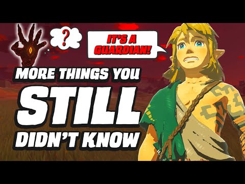 16 MORE Things You STILL Didn't Know In Zelda Tears Of The Kingdom