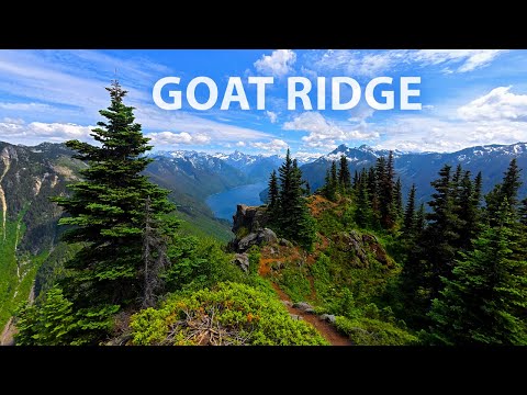 Goat Ridge Hiking Trail: One of Chilliwack’s Most Rewarding Climbs (Stunning Alpine Scenery)
