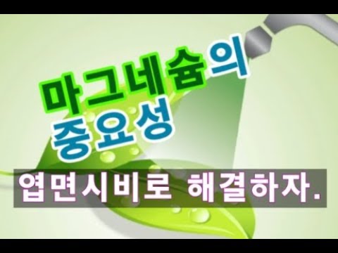 마그네슘공급의 중요성 - 토양에서 결핍되기 쉬운 마그네슘(고토) 엽면시비로 해결해보자.