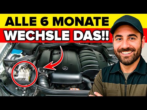 Die WENIGSTEN Autos Erreichen 800.000 KM – Mit Diesen GEWOHNHEITEN Schaffst Du Es Auch