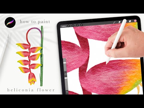 How to paint a bird of paradise flower (heliconia) 🌺   Procreate tips and tricks for beginners