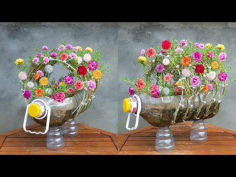 Turn old plastic bottles into a beautiful flower garden to decorate your desk, Plant Moss Rose
