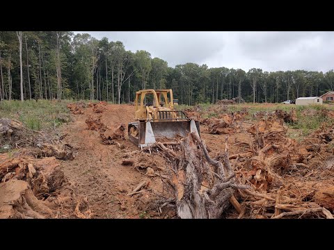 Starting One Of My Biggest Cleanup Jobs This Year