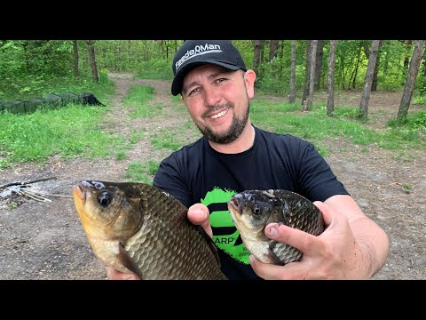 Crucian carp fishing tricks. Catching crucian carp with a feeder. Let's help the fisherman.
