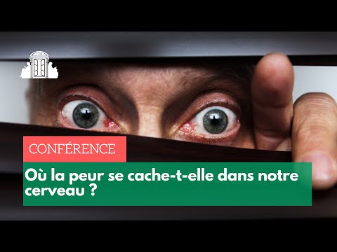 Où la peur se cache-t-elle dans notre cerveau ? | ENS-PSL