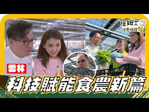 🔎《姆士尋寶去》顛覆傳統 智能科技養台灣鯛 尾鰭變身另類魚翅 新世代溫室打造生菜王國 鮮脆活生菜 DIY綠拿鐵