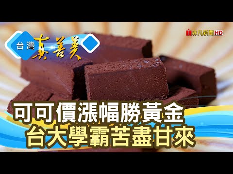 台大學霸的“黑金夢”｜塔塔加可可農園｜【台灣真善美】2025.06.22