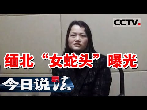 《今日说法》缅北诈骗集团被瓦解 刚生产两个月的母亲为何变身“女蛇头” 20231027 | CCTV今日说法官方频道