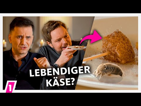 M​ilben-Käse: Bricht Özcan Cosar die Folge ab?! | 1LIVE Bratwurst und Baklava International #12