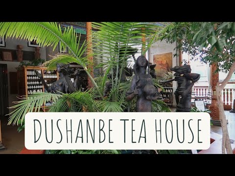 The BEST Tea House - Boulder Dushanbe Tea House Tour and Facts
