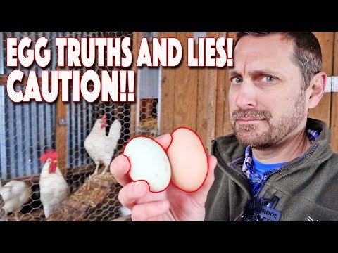 Tractor Supply Chicken Feed No Eggs! The TRUTH And A Warning!