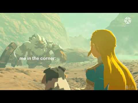 Daruk summarizing my social interaction skills in 18 seconds