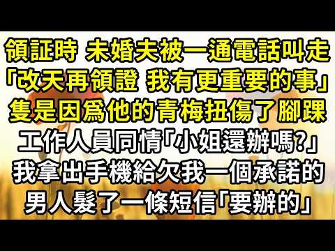 領証時，未婚夫被一通電話叫走，｢我們改天領証，現在有點急事｣，隻是因爲他的青梅扭傷了腳踝。工作人員同情看我｢小姐還辦嗎?｣，我拿出手機髮了一條短信。第二天未婚夫找不到我，慌了