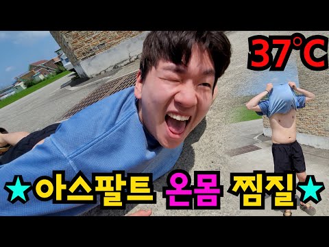 따스한 아스팔트에 온몸 찜질하기ㅋㅋㅋ