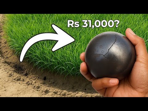 The Most Satisfying Japanese Art You’ve Never Seen | Dorodango