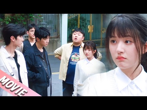 Zhao Lusi is bullied; her four brothers immediately take revenge for her 😳