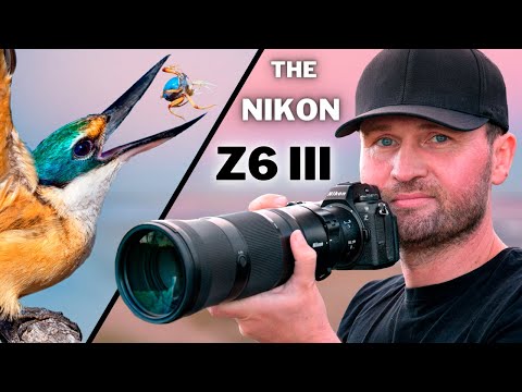 BUY Or PASS? Nikon Z6 III IN THE FIELD Review