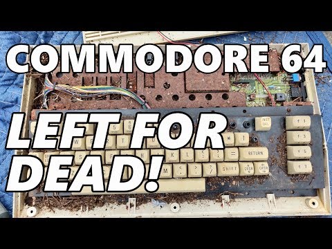 Commodore 64 left outside for over a decade! Could it still work??