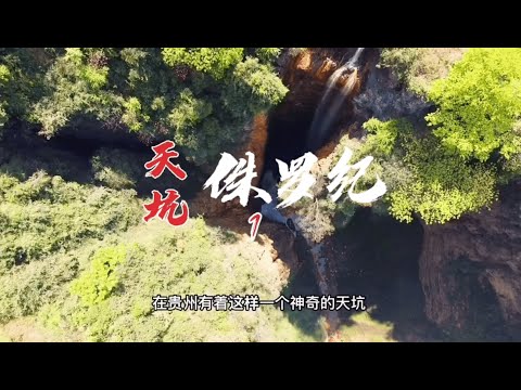 《探险中国》一探险”侏罗纪天坑"（完整篇）