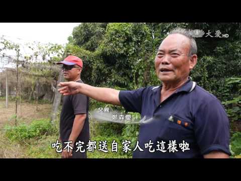 【農夫與他的田】20170714 - 二八水好日子