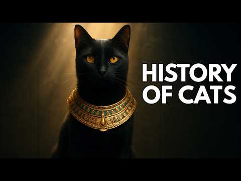 The Entire History Of Cats (10,000 BCE To Today) | Before Cities