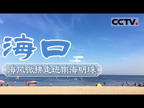 走进南海明珠海口 来一场海边漫步游 感受海风微拂——海口【CCTV纪录】