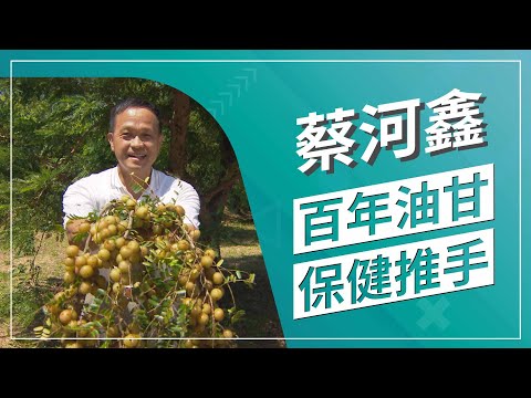 草地狀元-維他命C之王  百年油甘果(2022.11.21播出)