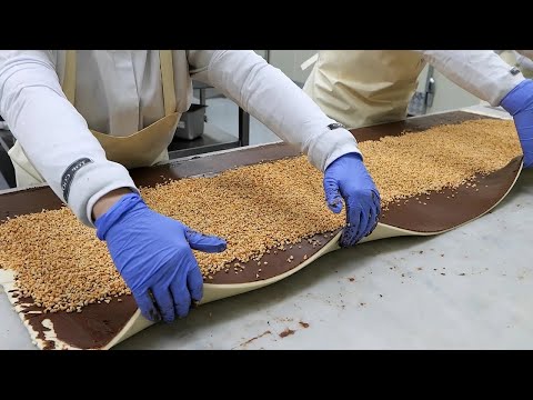 Various Style Twisted Donuts Collection