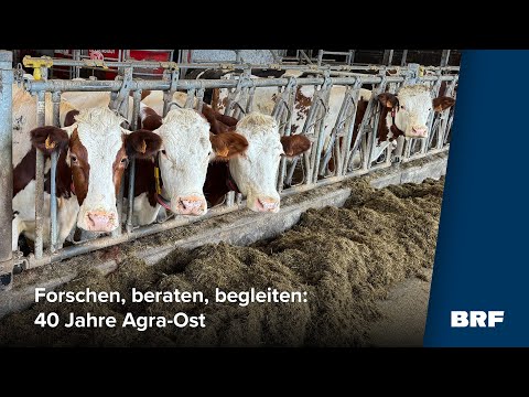 40 years of Agra-Ost: Researching, advising, supporting – for East Belgium's agriculture