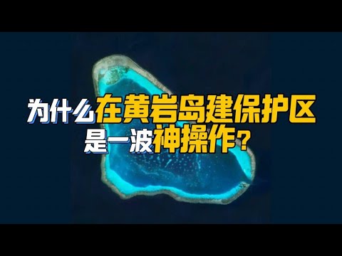为什么黄岩岛建保护区是一波神操作#中国黄岩岛 #菲律宾 #一看就懂 #看海识风