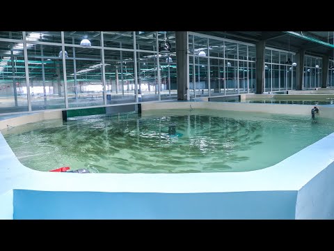 让养鱼不再“看天吃饭”！他把养鱼搬进室内，打造循环水养殖系统，还能任意调节水温和室温，一口气养16,000条鱼不在话下！「智慧农业新时代」| 农业致富经