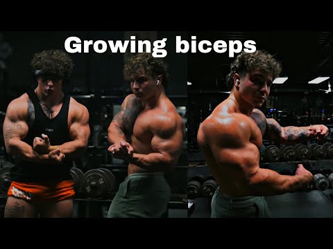 HOW TO GET BIGGER ARMS